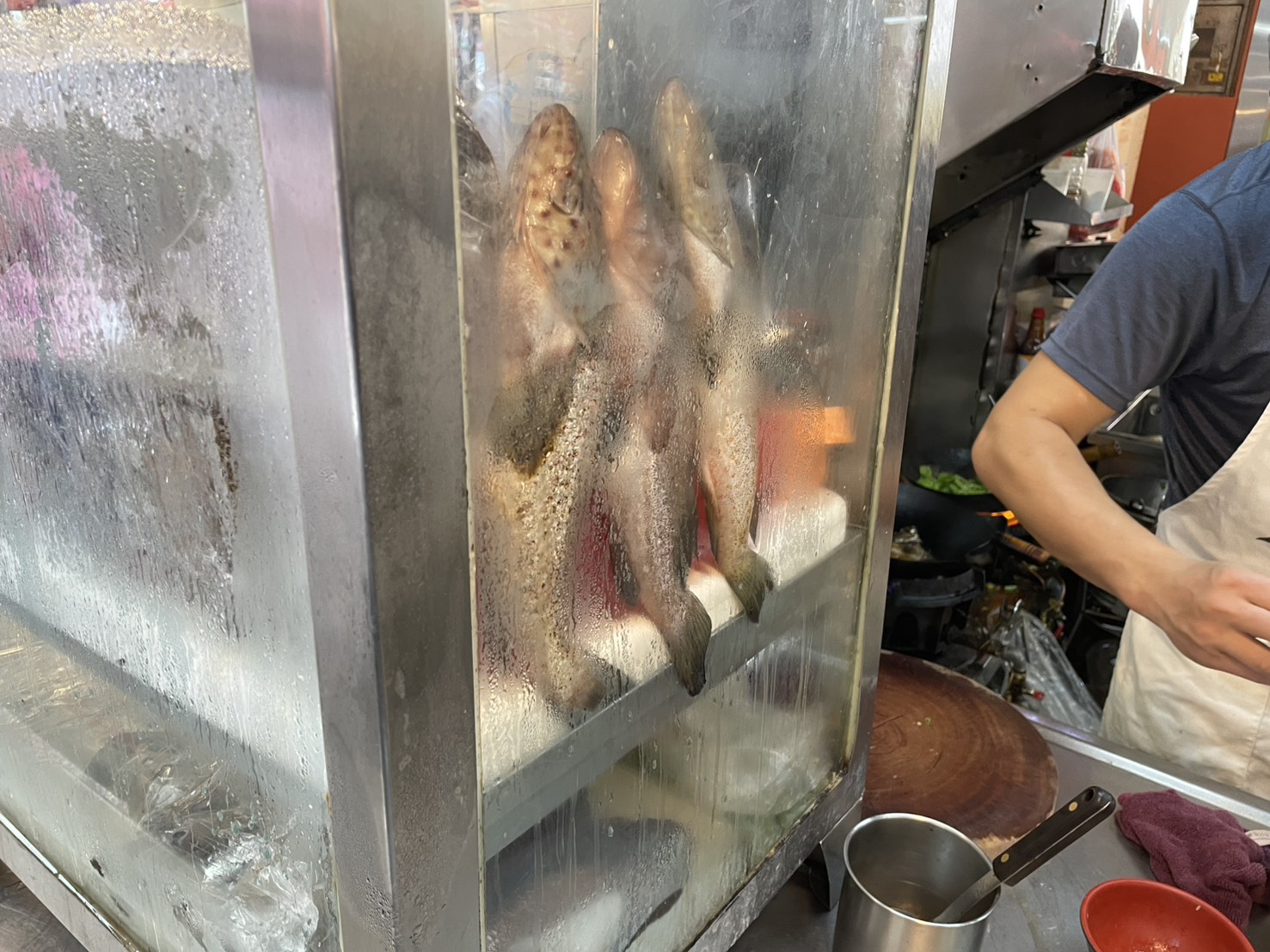 基隆廟口8號旗魚飯 鮮魚展示櫃特寫